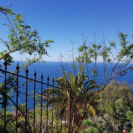 Villa Larnia De Tenerife Sauzal Exteriér fotografie
