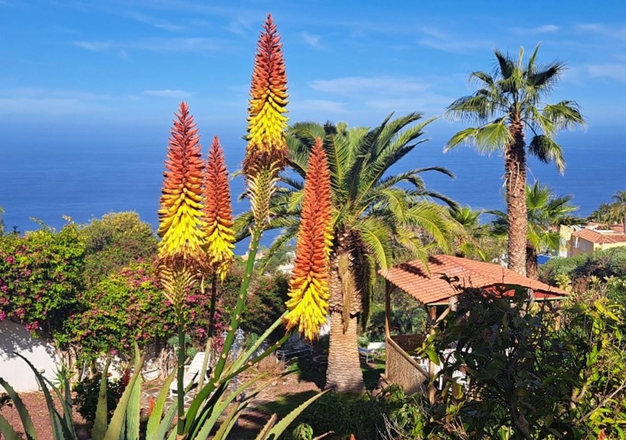 Villa Larnia De Tenerife Sauzal Exteriér fotografie