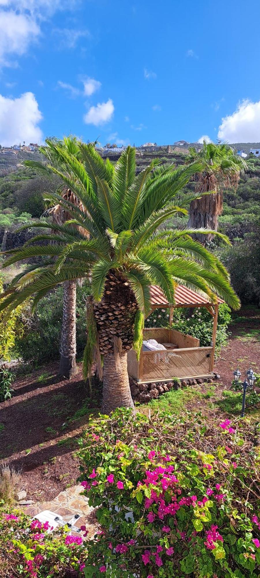 Villa Larnia De Tenerife Sauzal Exteriér fotografie