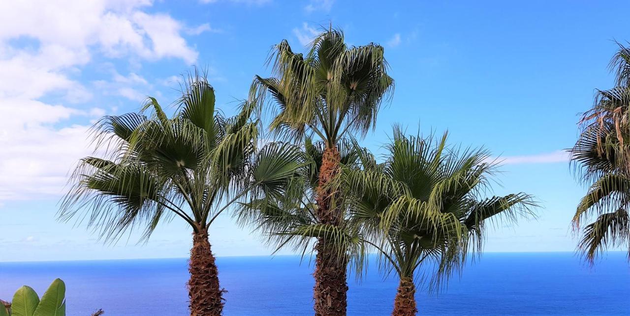 Villa Larnia De Tenerife Sauzal Exteriér fotografie